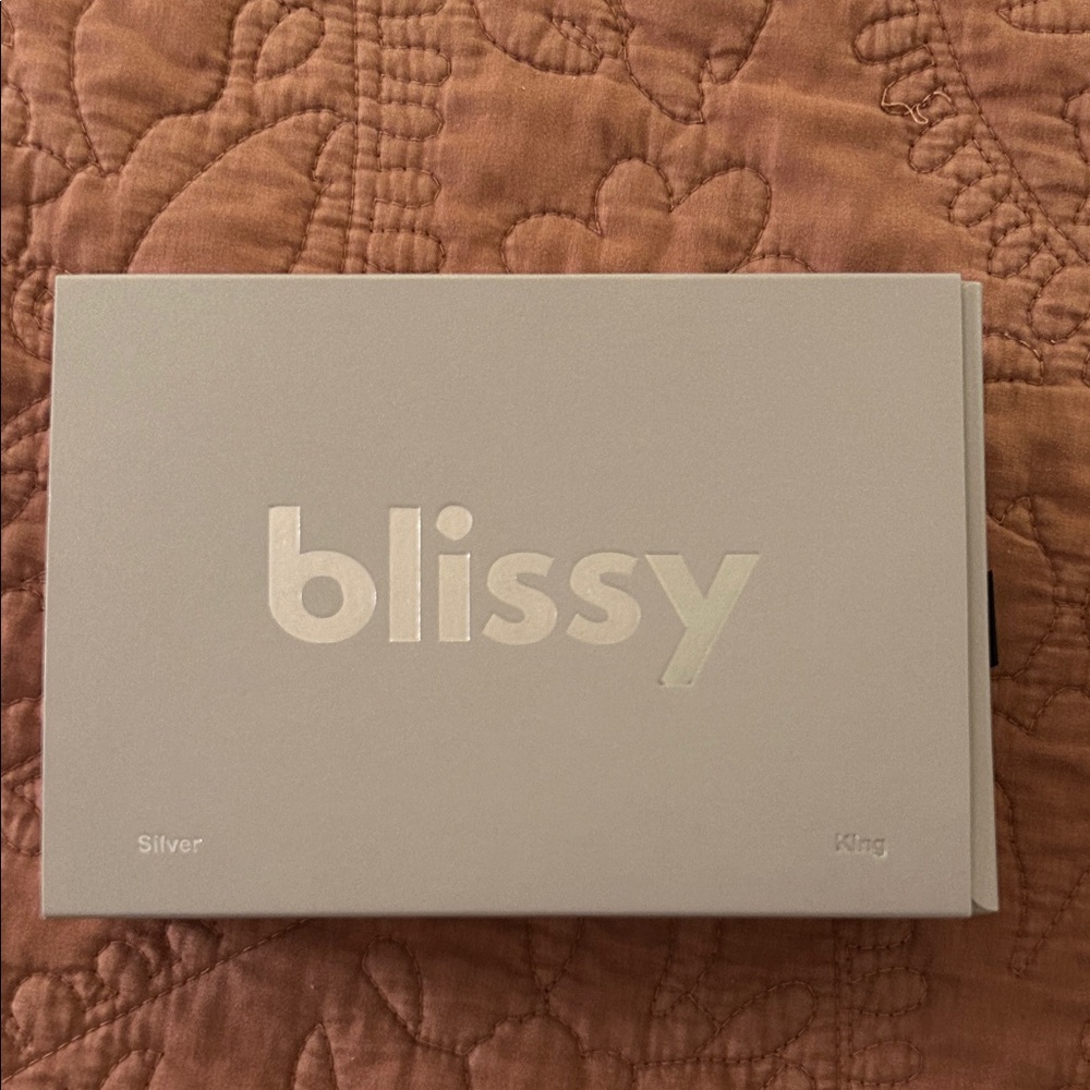 Blissy 100% pure mulberry silk- Silver Pillowcase- king